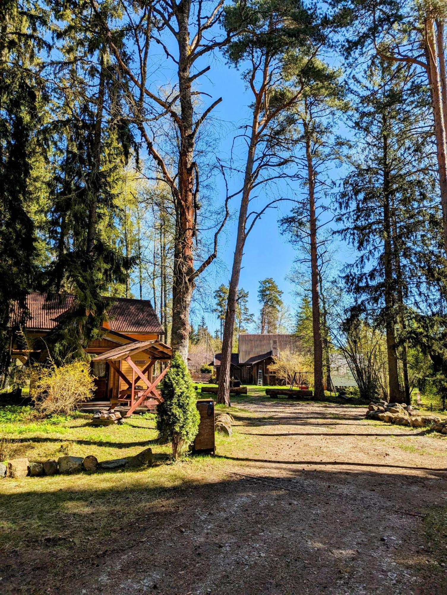 Гостевой дом Rehe Turismitalu Kuijoe Экстерьер фото